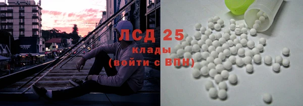 гашик Аркадак