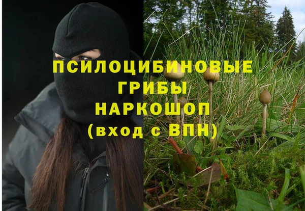 ALPHA-PVP Армянск