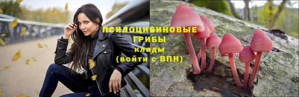 бутират Арсеньев
